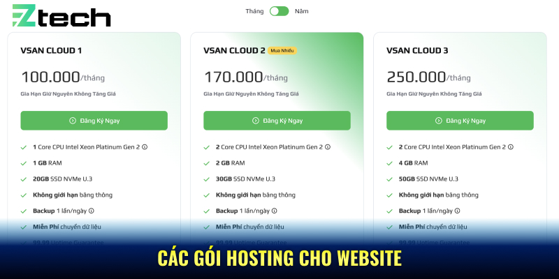 Các gói hosting cho website