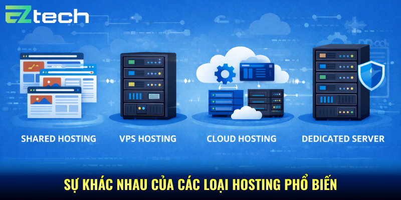 sự khác nhau của các loại hosting phổ biến
