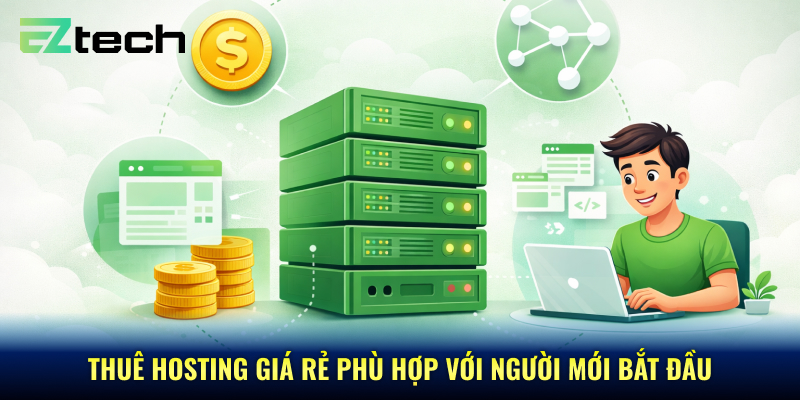 Thuê Hosting giá rẻ phù hợp với người mới bắt đầu
